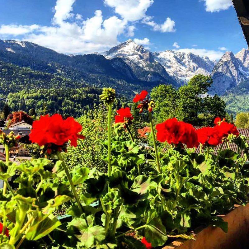 Gaestehaus Hohe Tannen Гармиш-Партенкирхен Экстерьер фото